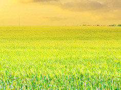 九游电竞平台官网基地展示1